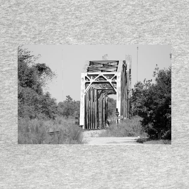 Old Railroad Bridge by Cynthia48